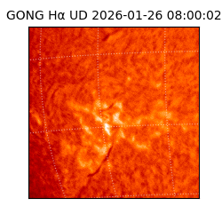 gong - 2026-01-26T08:00:02