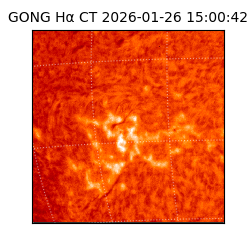 gong - 2026-01-26T15:00:42