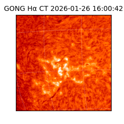 gong - 2026-01-26T16:00:42
