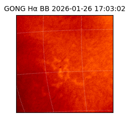 gong - 2026-01-26T17:03:02