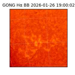 gong - 2026-01-26T19:00:02