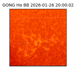 gong - 2026-01-26T20:00:02