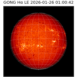 gong - 2026-01-26T01:00:42