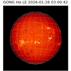 gong - 2026-01-26T03:00:42