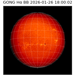 gong - 2026-01-26T18:00:02