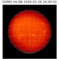 gong - 2026-01-26T20:00:02