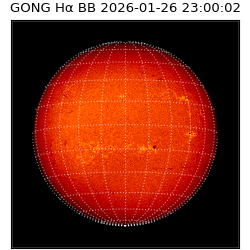 gong - 2026-01-26T23:00:02