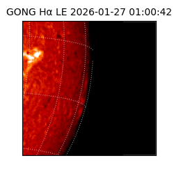 gong - 2026-01-27T01:00:42