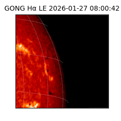gong - 2026-01-27T08:00:42