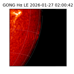 gong - 2026-01-27T02:00:42