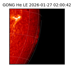 gong - 2026-01-27T02:00:42