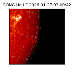 gong - 2026-01-27T03:00:42