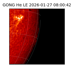 gong - 2026-01-27T08:00:42