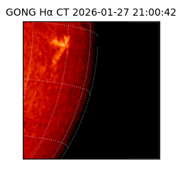 gong - 2026-01-27T21:00:42