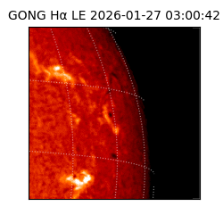 gong - 2026-01-27T03:00:42