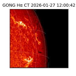 gong - 2026-01-27T12:00:42