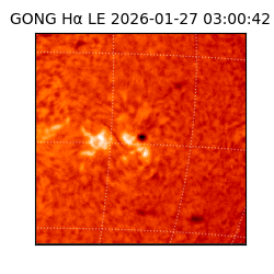 gong - 2026-01-27T03:00:42