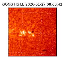 gong - 2026-01-27T08:00:42