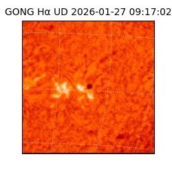 gong - 2026-01-27T09:17:02