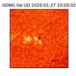 gong - 2026-01-27T10:00:02