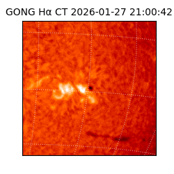gong - 2026-01-27T21:00:42
