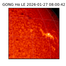 gong - 2026-01-27T08:00:42