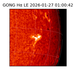 gong - 2026-01-27T01:00:42
