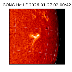 gong - 2026-01-27T02:00:42