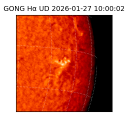 gong - 2026-01-27T10:00:02