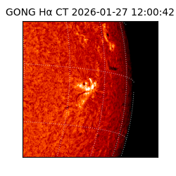 gong - 2026-01-27T12:00:42
