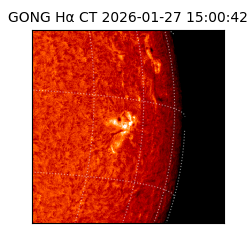 gong - 2026-01-27T15:00:42