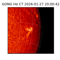 gong - 2026-01-27T20:00:42