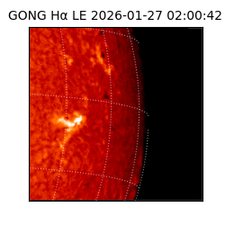 gong - 2026-01-27T02:00:42
