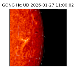 gong - 2026-01-27T11:00:02