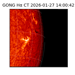 gong - 2026-01-27T14:00:42