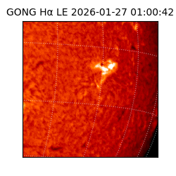gong - 2026-01-27T01:00:42