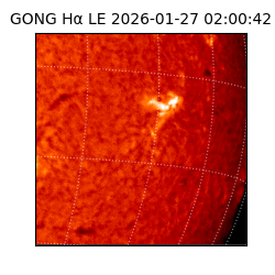 gong - 2026-01-27T02:00:42