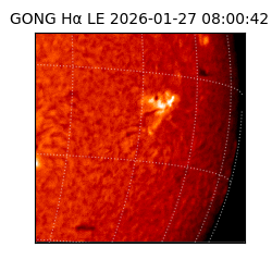 gong - 2026-01-27T08:00:42