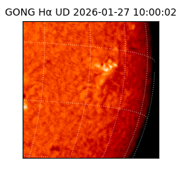 gong - 2026-01-27T10:00:02