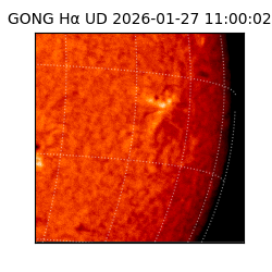 gong - 2026-01-27T11:00:02