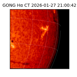 gong - 2026-01-27T21:00:42