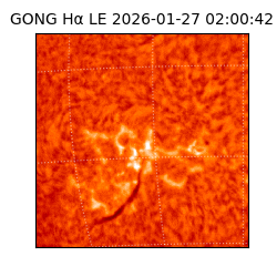 gong - 2026-01-27T02:00:42