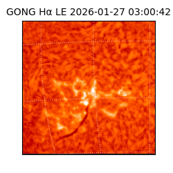 gong - 2026-01-27T03:00:42