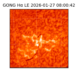 gong - 2026-01-27T08:00:42