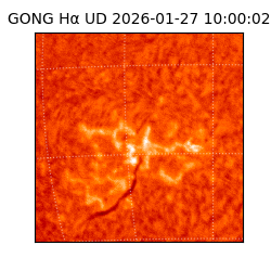 gong - 2026-01-27T10:00:02