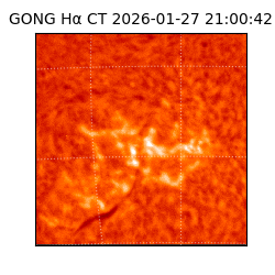gong - 2026-01-27T21:00:42