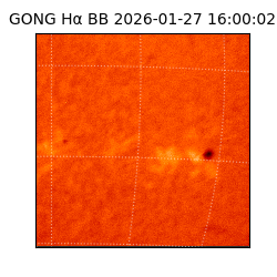 gong - 2026-01-27T16:00:02