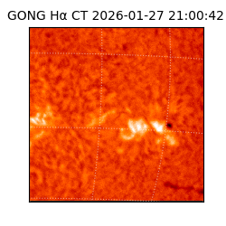 gong - 2026-01-27T21:00:42