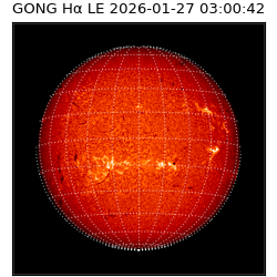 gong - 2026-01-27T03:00:42