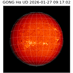 gong - 2026-01-27T09:17:02